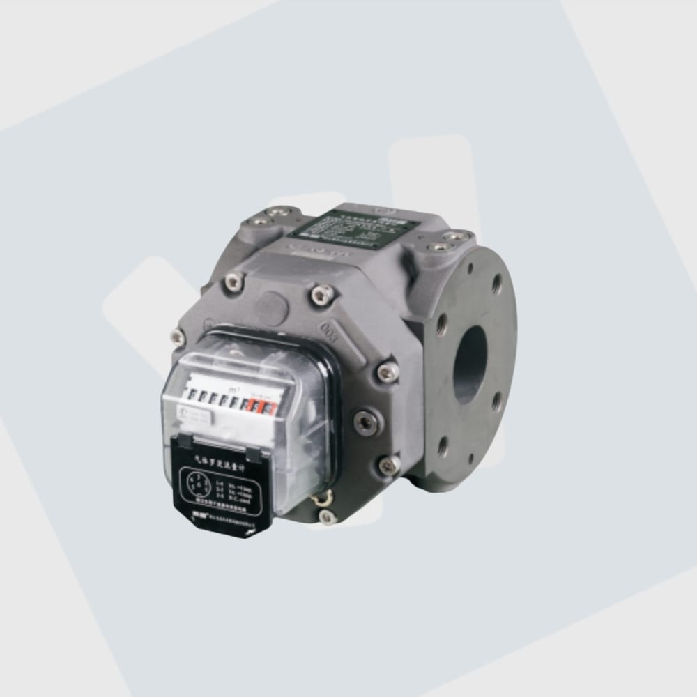 een CNM rotor gasmeter van RM serie vooraanzicht
