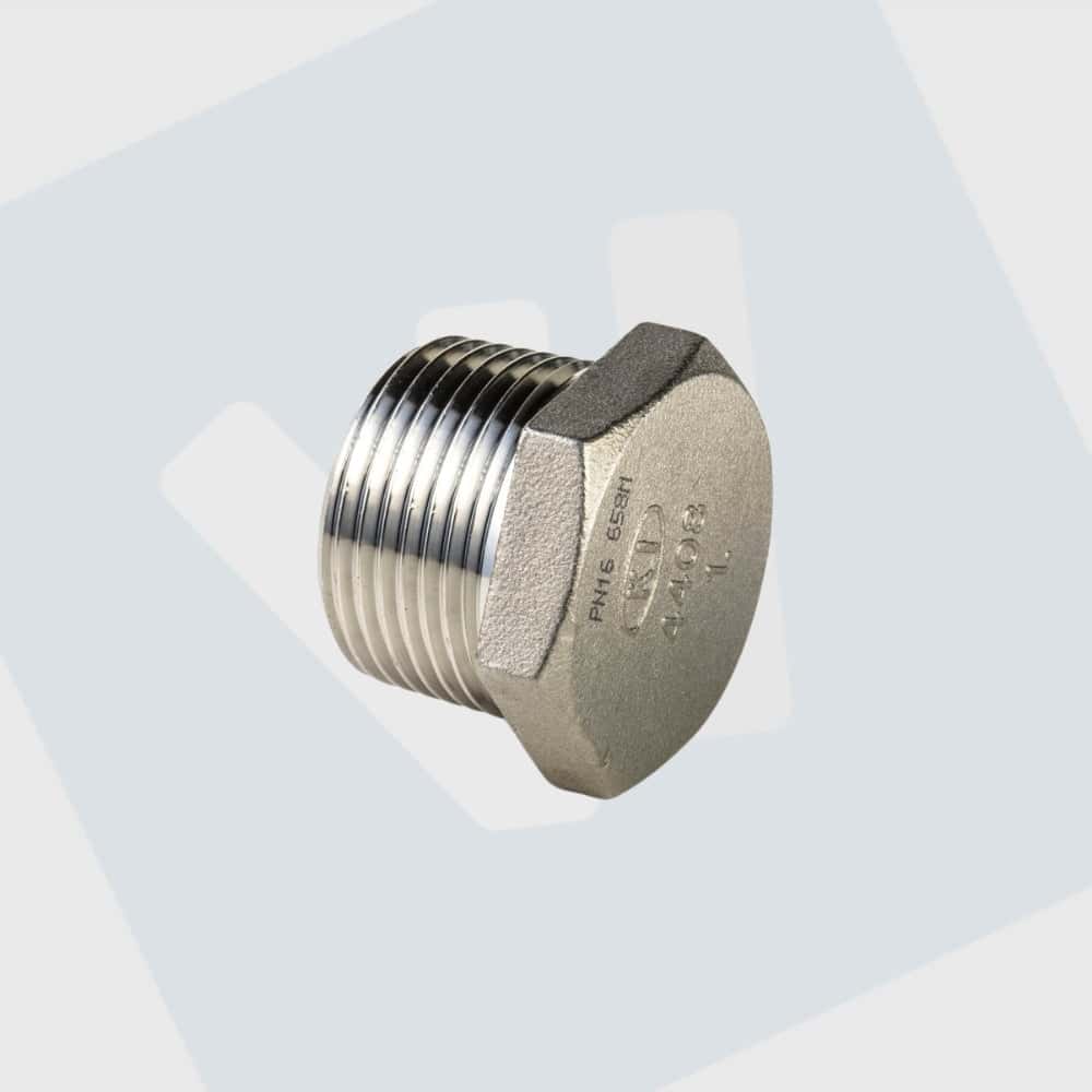 RVS (316) plug  ¼"-3/8"-½"-¾"- 1"- 1¼"- 1½"-2" bu