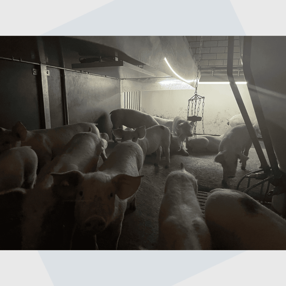 Venke IR 100 Watt infrarood verwarmingspaneel  IP66 (waterbestendig)